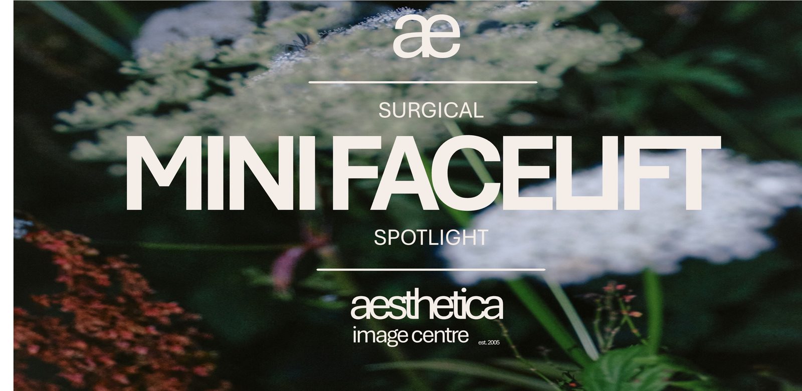 Mini Facelift Spotlight — Aesthetica Image Centre